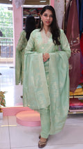 Premium Banarasi Pista green salwar Suit-YVS275